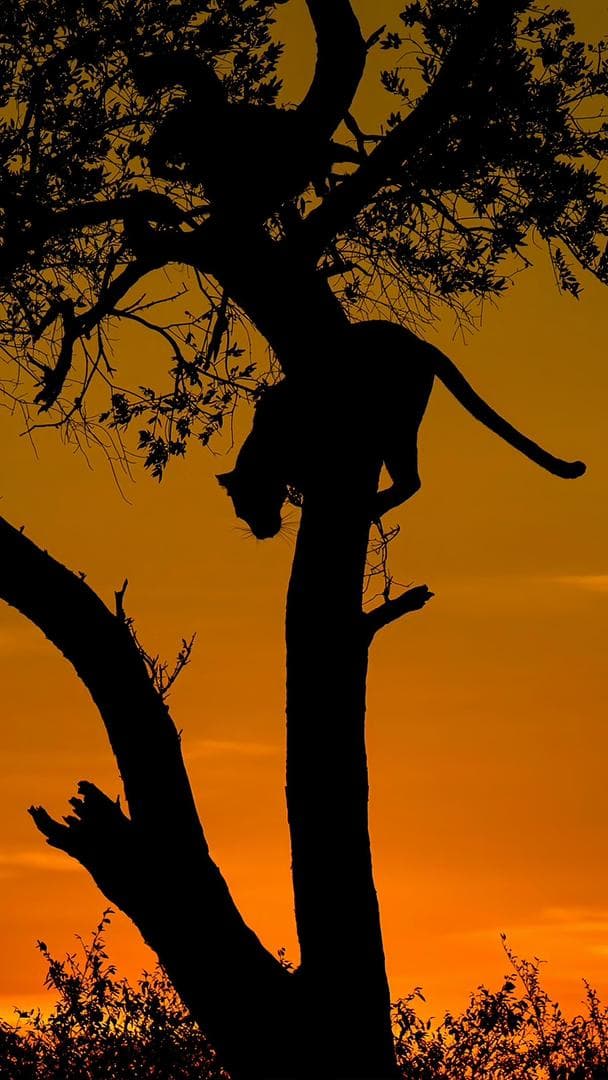 2-Day Zanzibar to Tarangire & Ngorongoro Crater