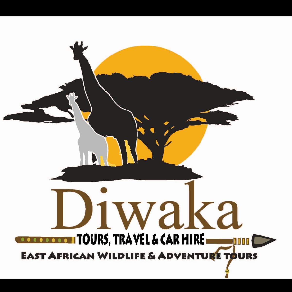 Diwaka Safaris
