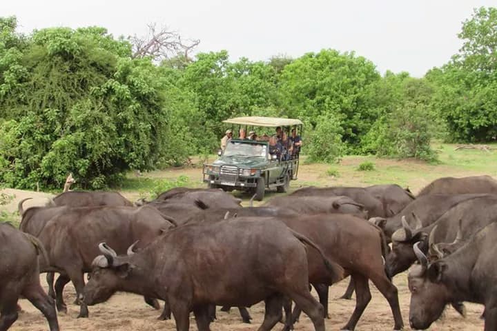 4-Day Discover Victoria Falls, Chobe National Park and Hwange National Park