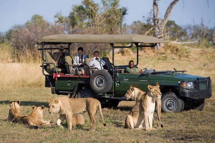 1-Day chobe day trip