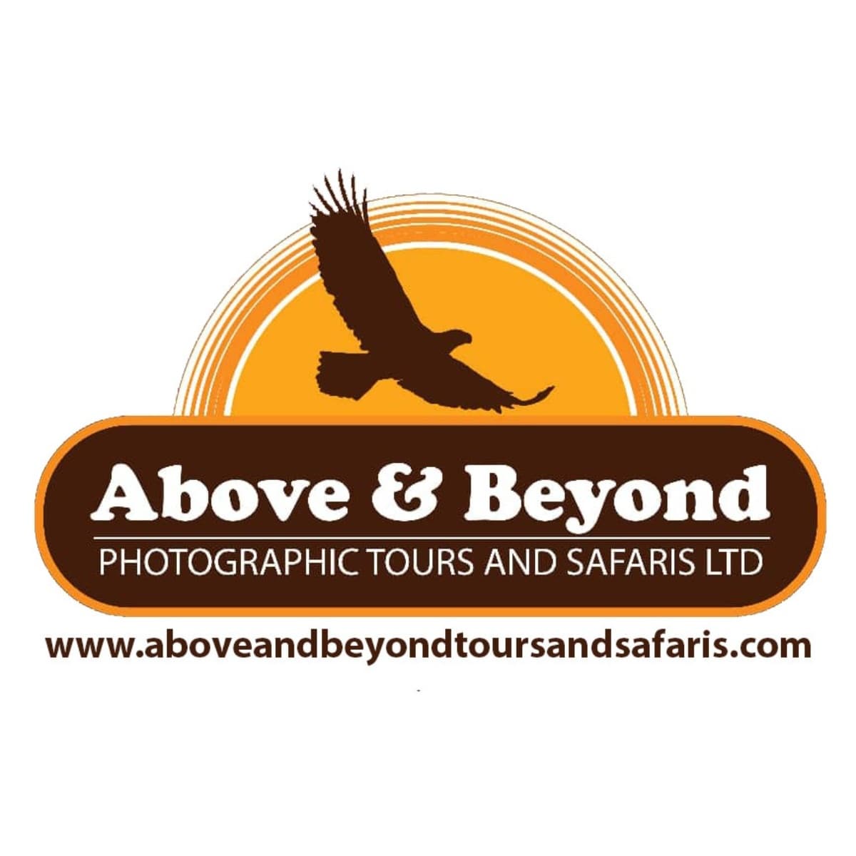 ABOVE & BEYOND PHOTOGRAPHIC TOURS AND SAFARIS