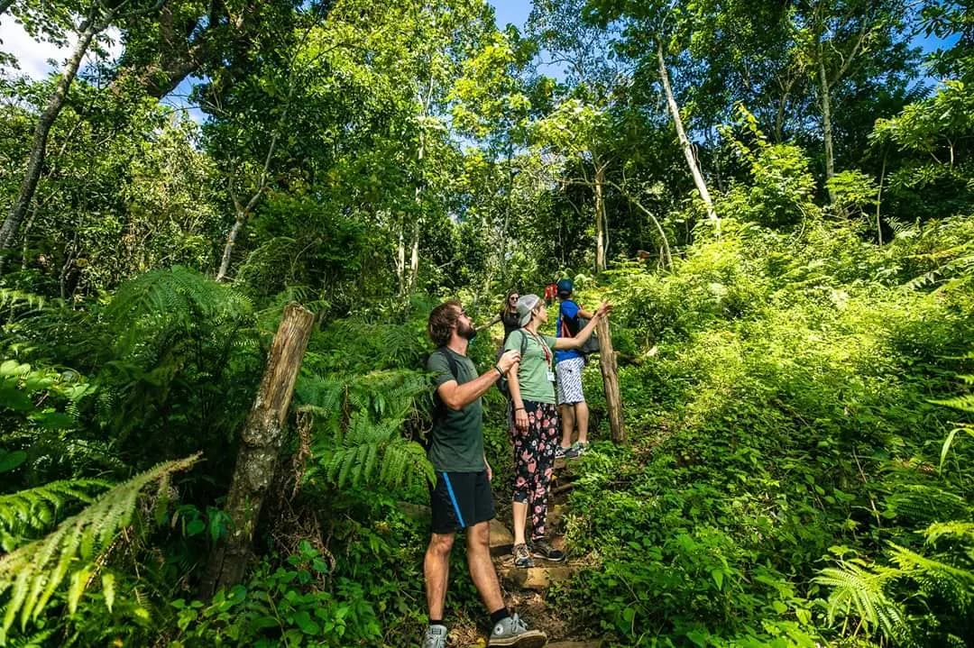 5-Day Authentic Tanzania Experience – Wildlife, Culture & Nature