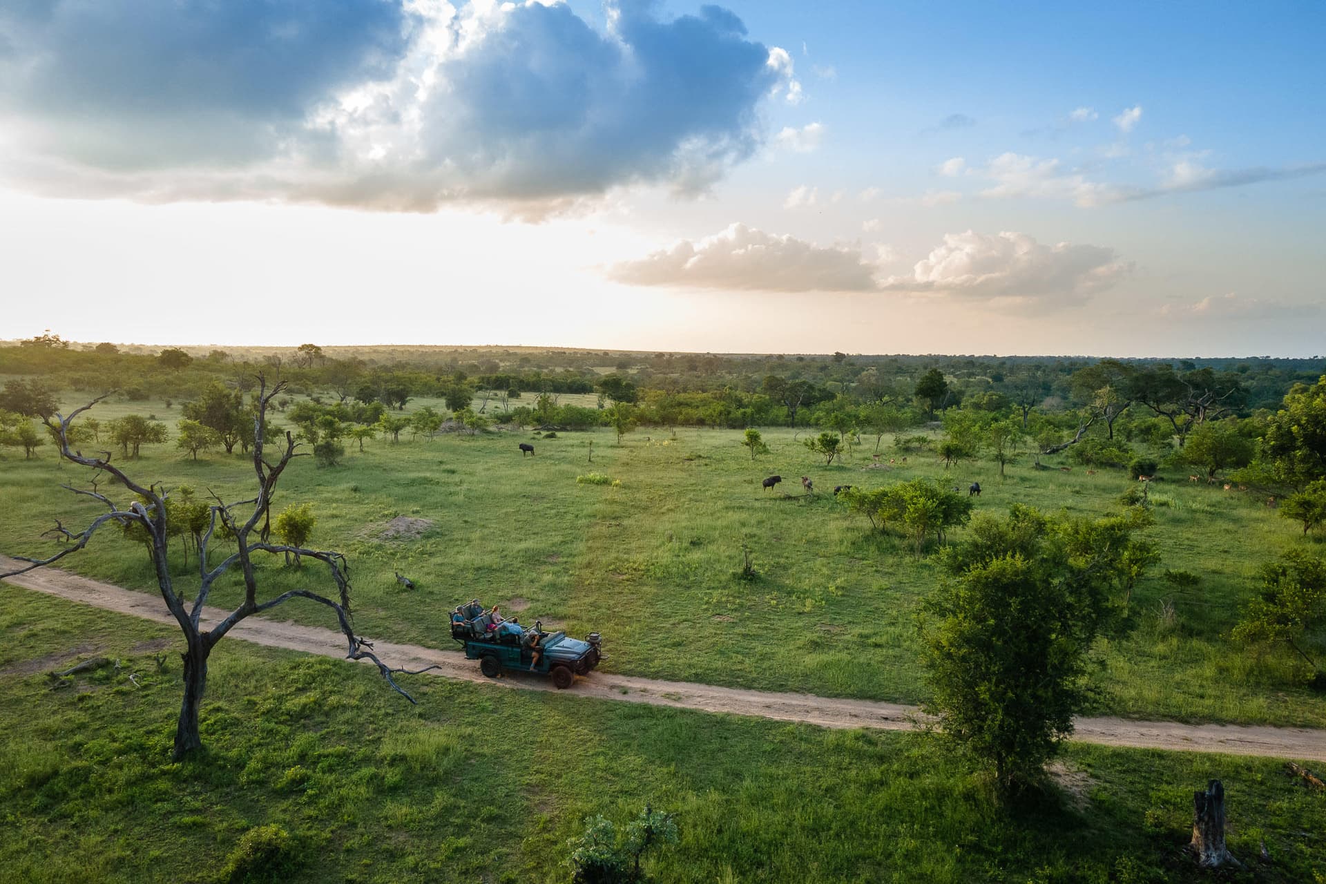 6-Day Kruger National Park - Victoria Falls Budget Safari