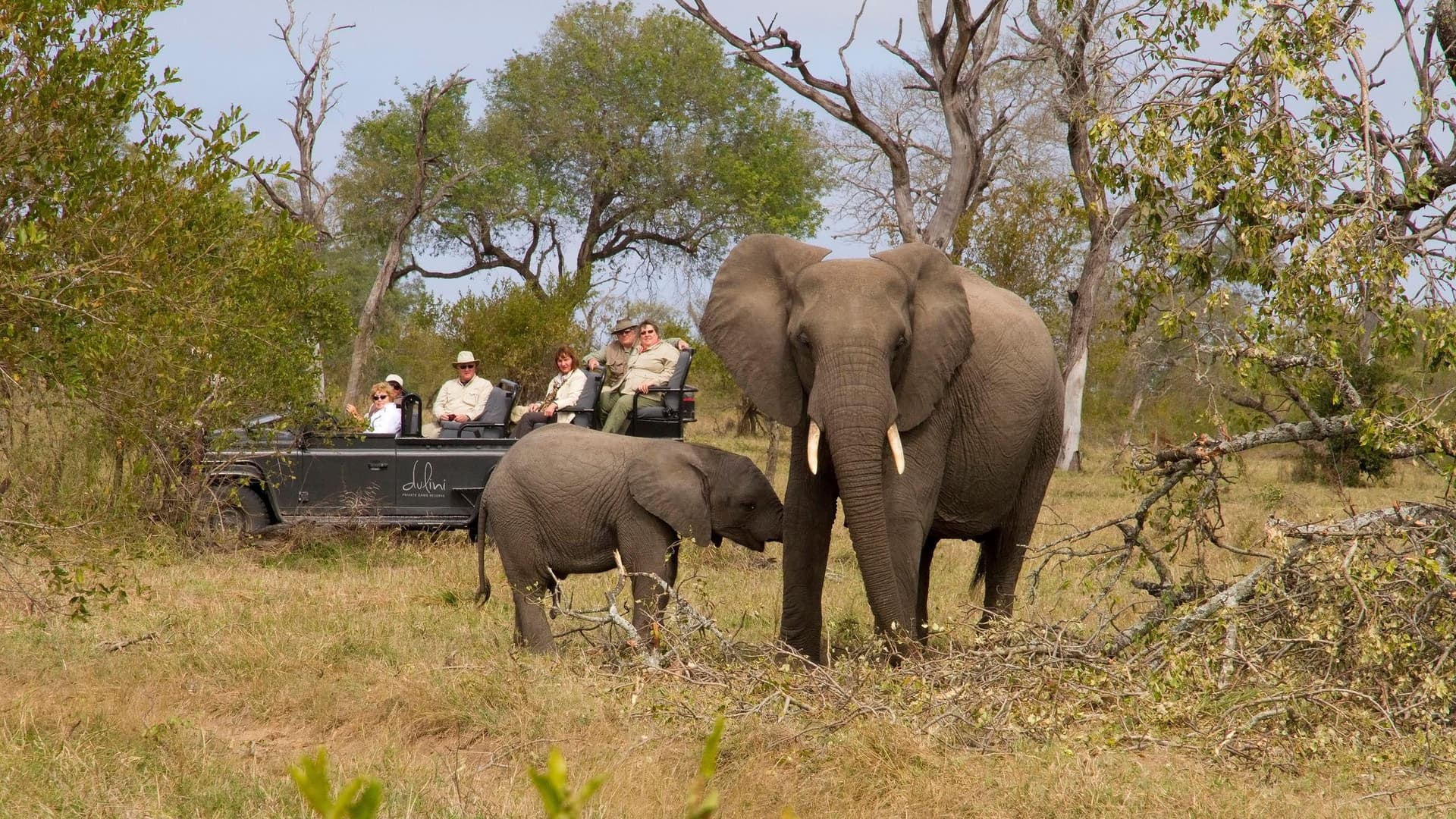 4-Day Kruger Luxury Safari from Johannesburg