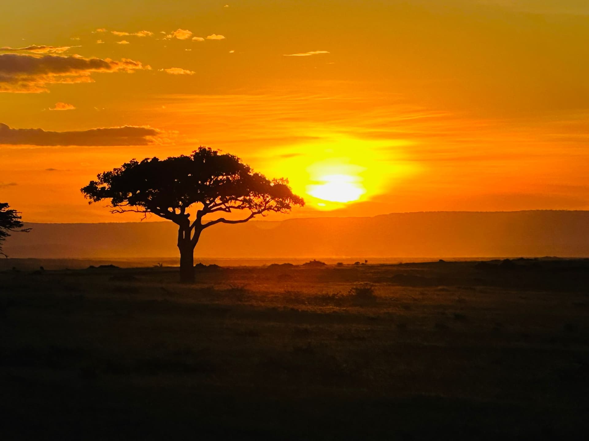 4-Day MASAI MARA FLY-IN BIG FIVE SAFARI