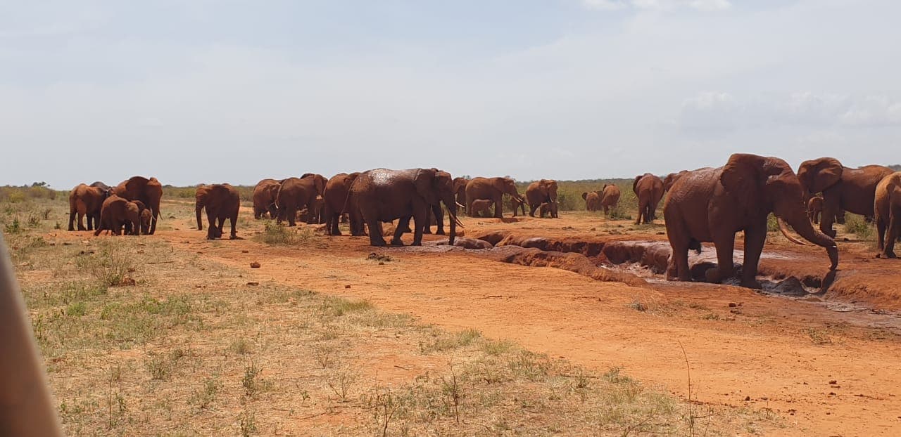 3-Day Tsavo East and West