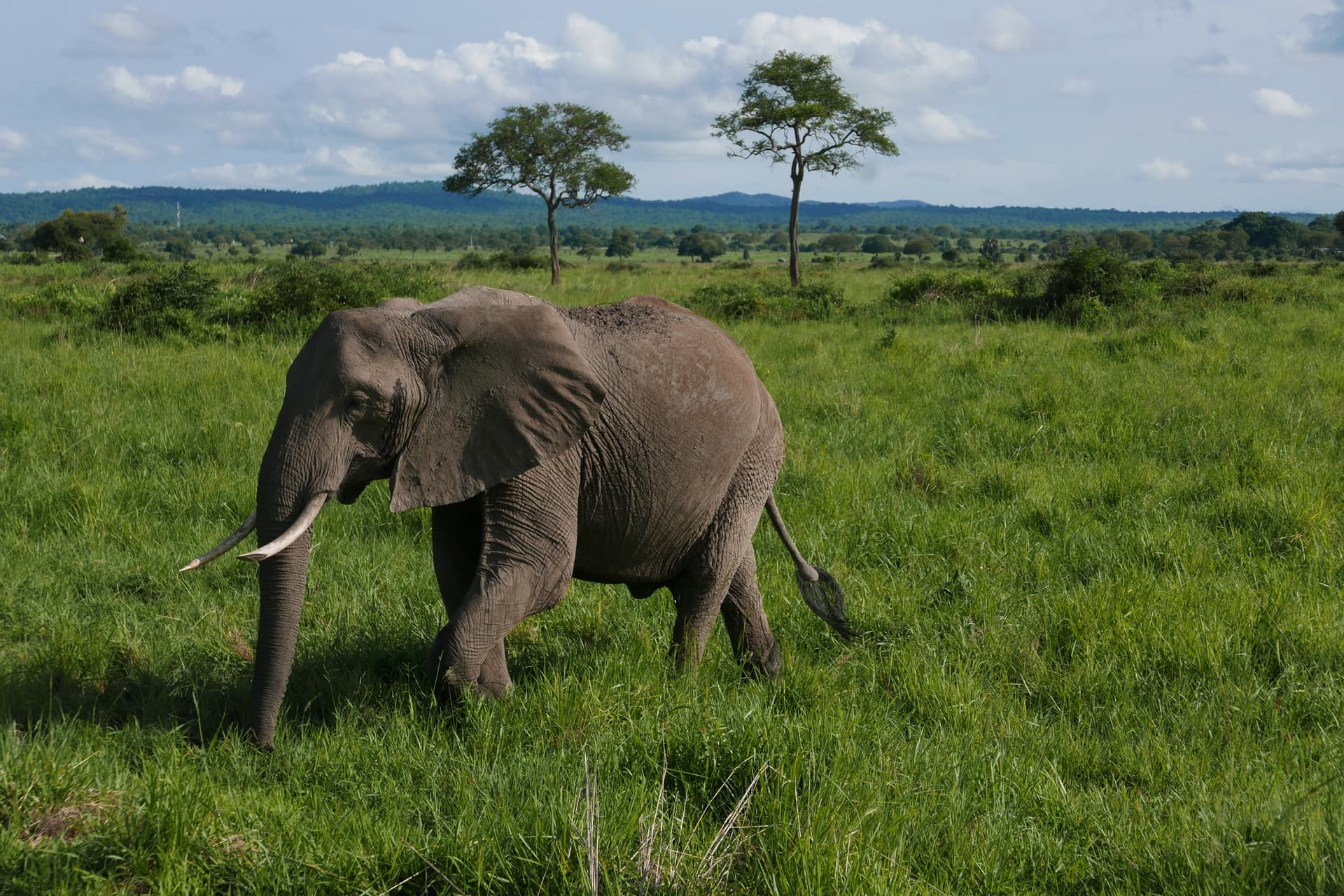 3-Day Day Choma Waterfalls, Mikumi & Maasai Visit