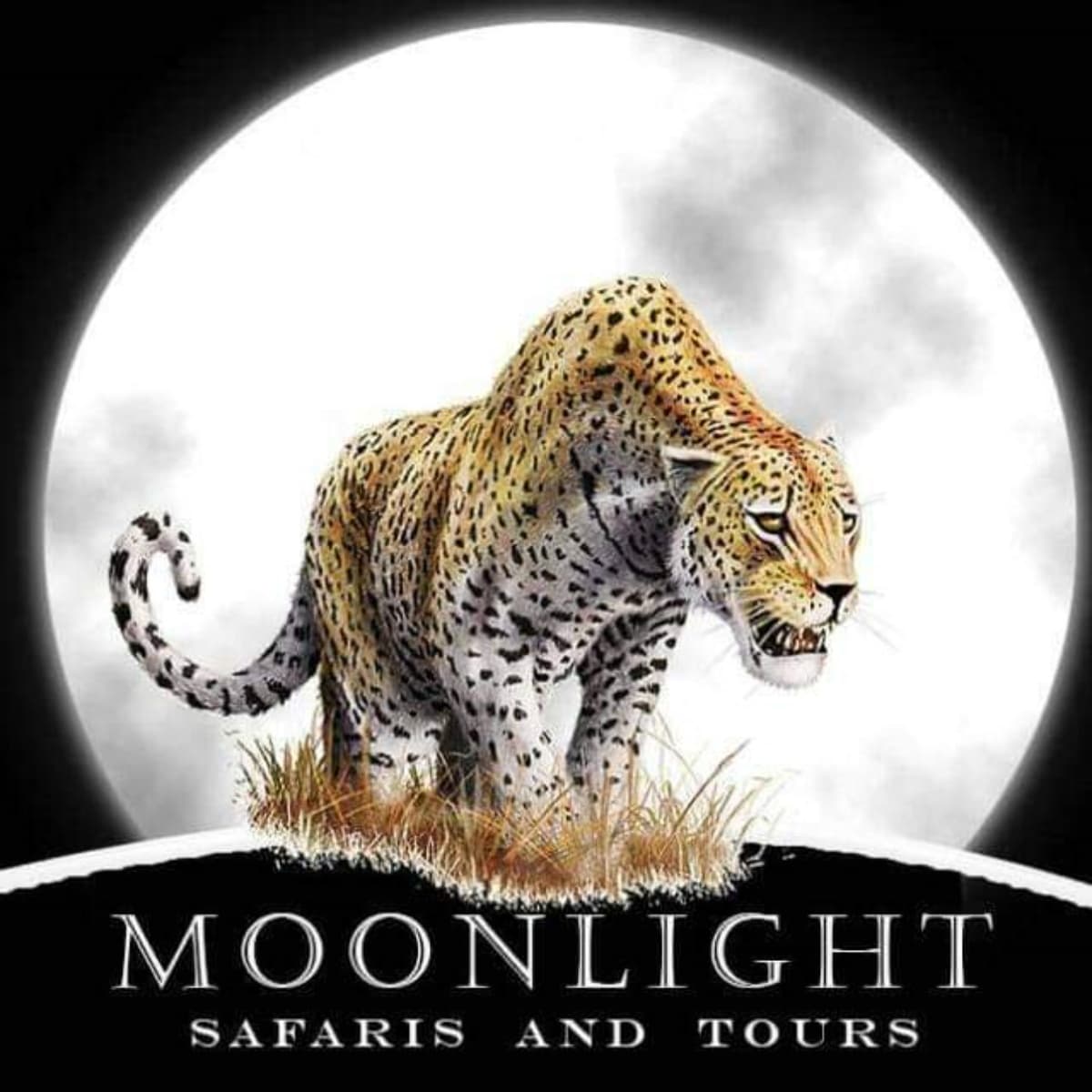 Moonlight Safaris and Tours
