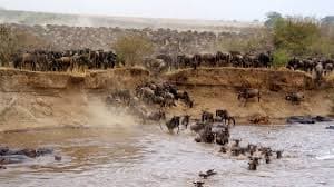 3-Day Maasai Mara Safari