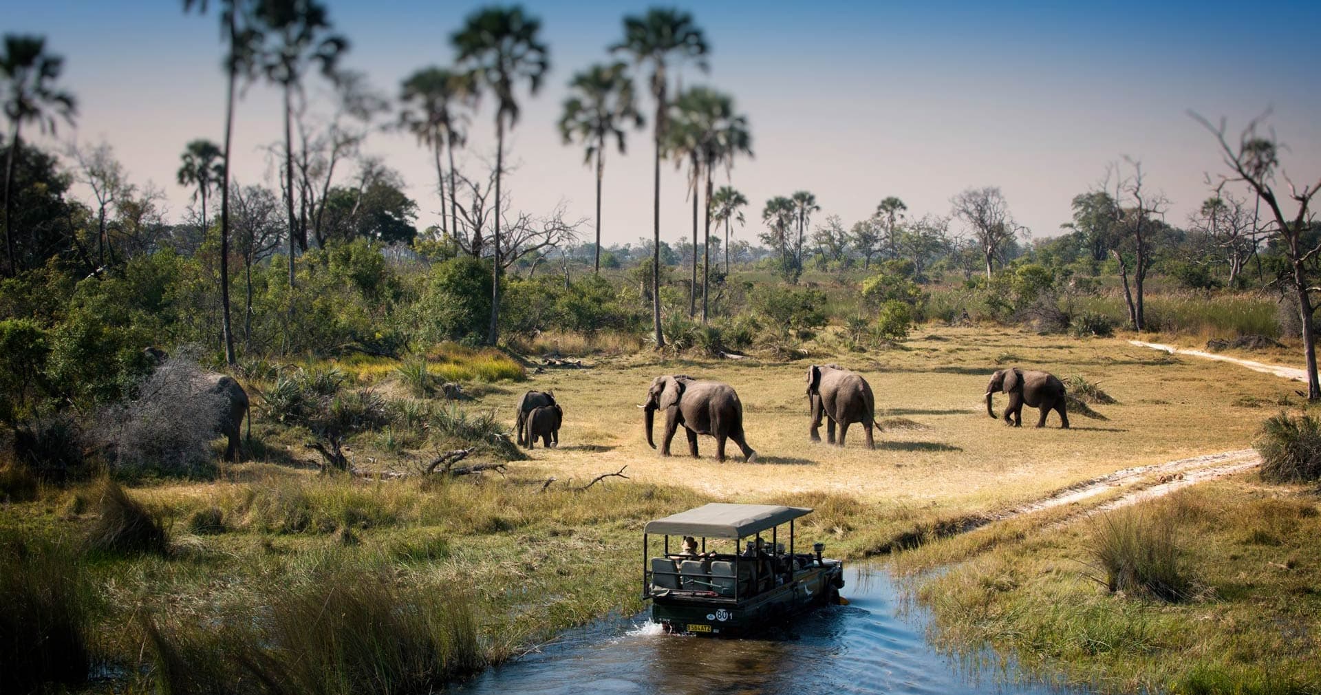 1-Day Chobe Day Trip