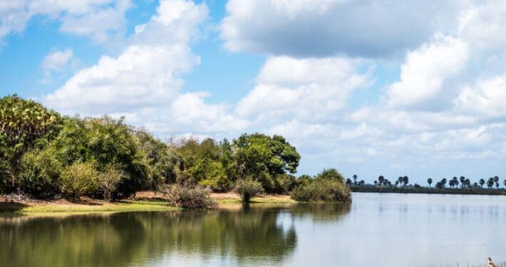 2-Day Fly-in Fly-out Zanzibar to Nyerere NP - Gallery 3
