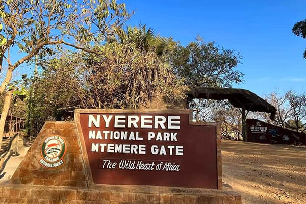 2-Day Fly-in Fly-out Zanzibar to Nyerere NP - Gallery 2