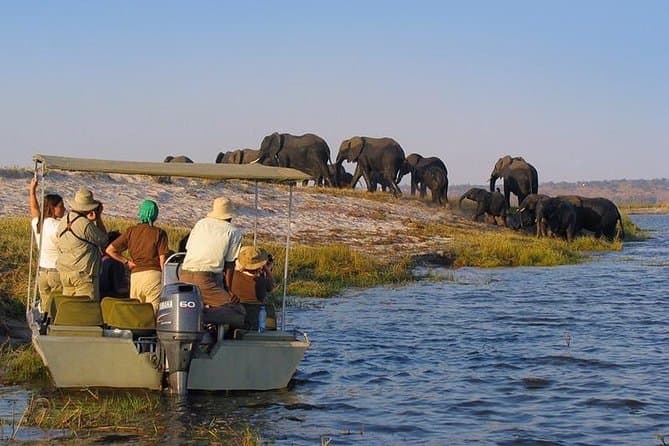 2-Day Fly-in Fly-out Zanzibar to Nyerere NP - Main