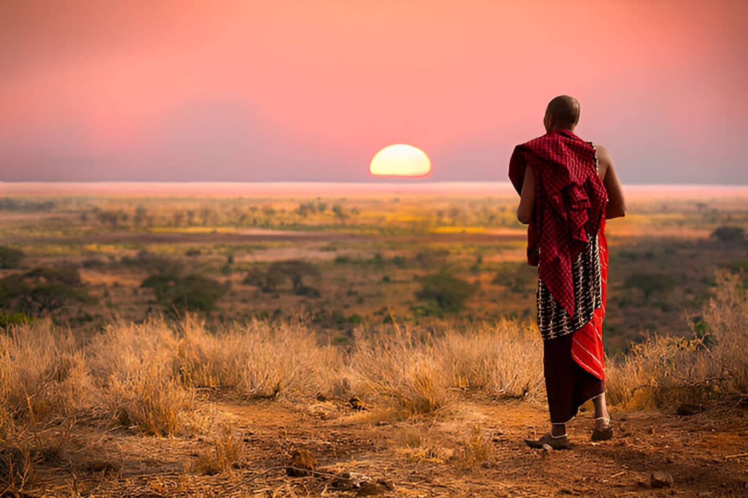 6-Day Ultimate Northern Tanzania Wildlife Safari - Gallery 1