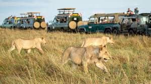 7-Day Masai Mara, Lake Nakuru,Lake Naivasha Tsavo East and Tsavo West National Parks - Gallery 2