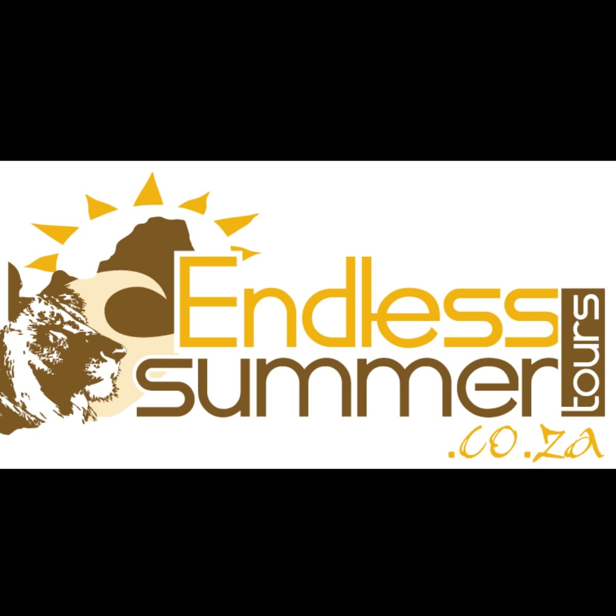 Endless Summer Safari & Tours