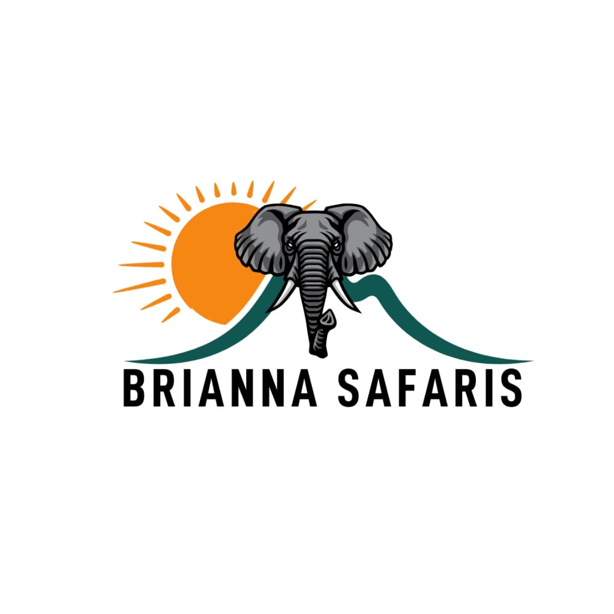 Brianna Safaris