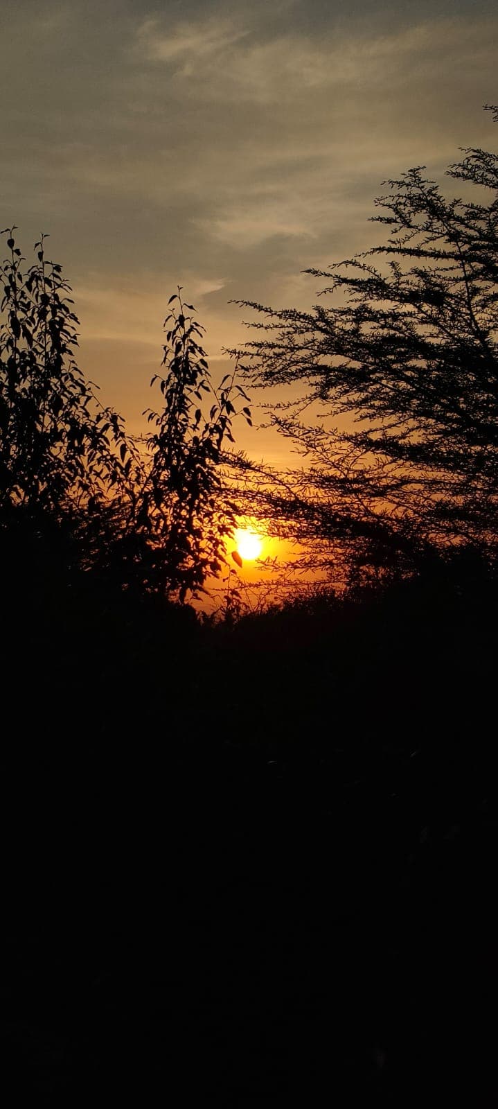 6-Day Amboseli NP, Tsavo East NP & Diani Budget Safari - Gallery 2