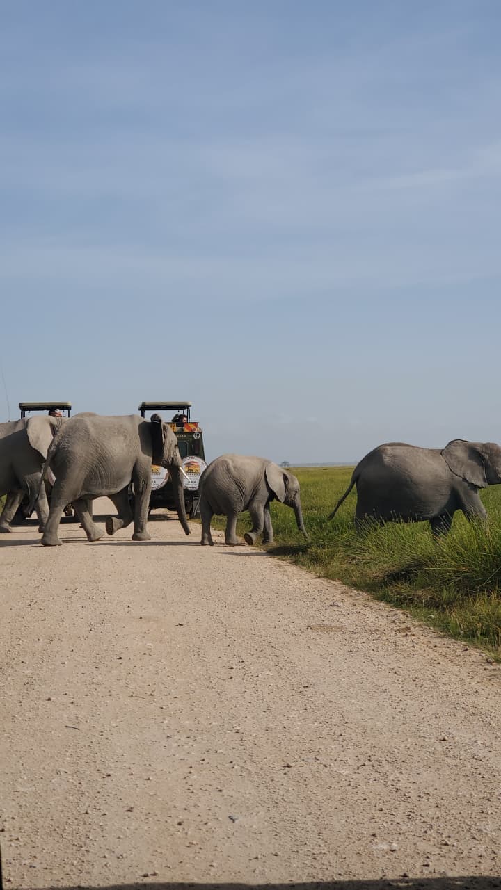 6-Day Amboseli NP, Tsavo East NP & Diani Budget Safari - Main