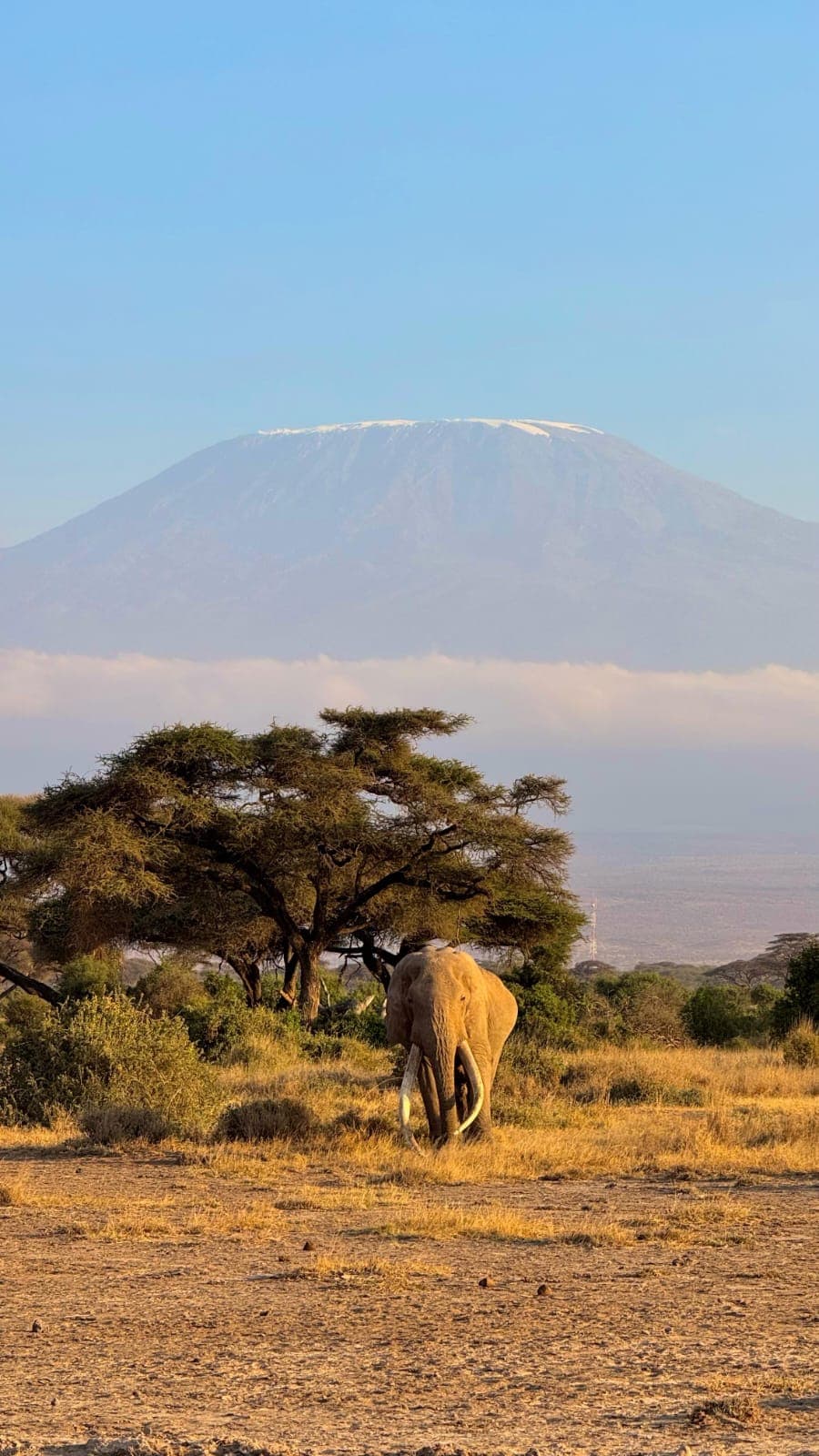 9-Day Best of Kenya Adventure Safari - Gallery 3