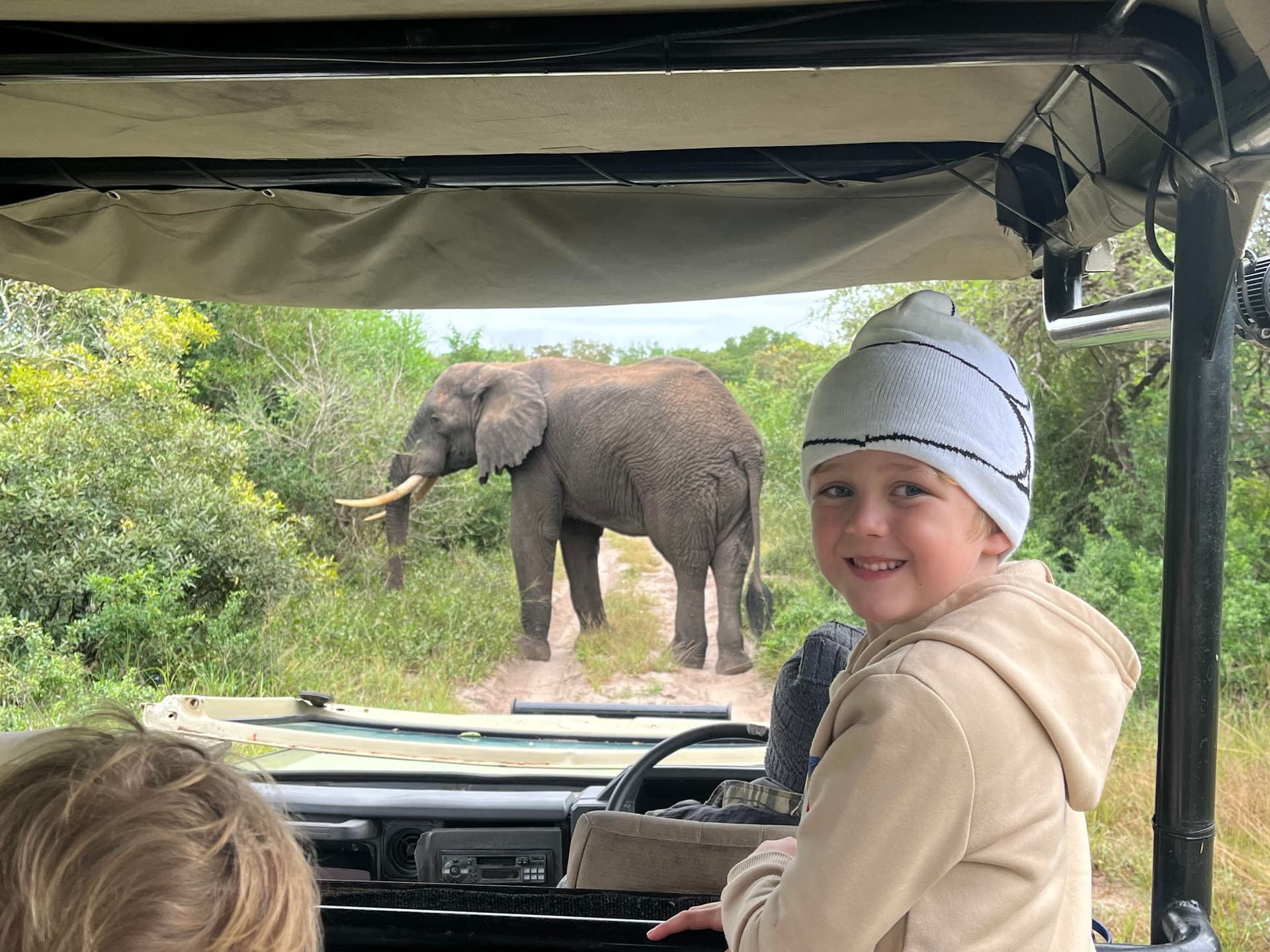 4-Day Incredible Safari Inside the Kruger National Park - Main