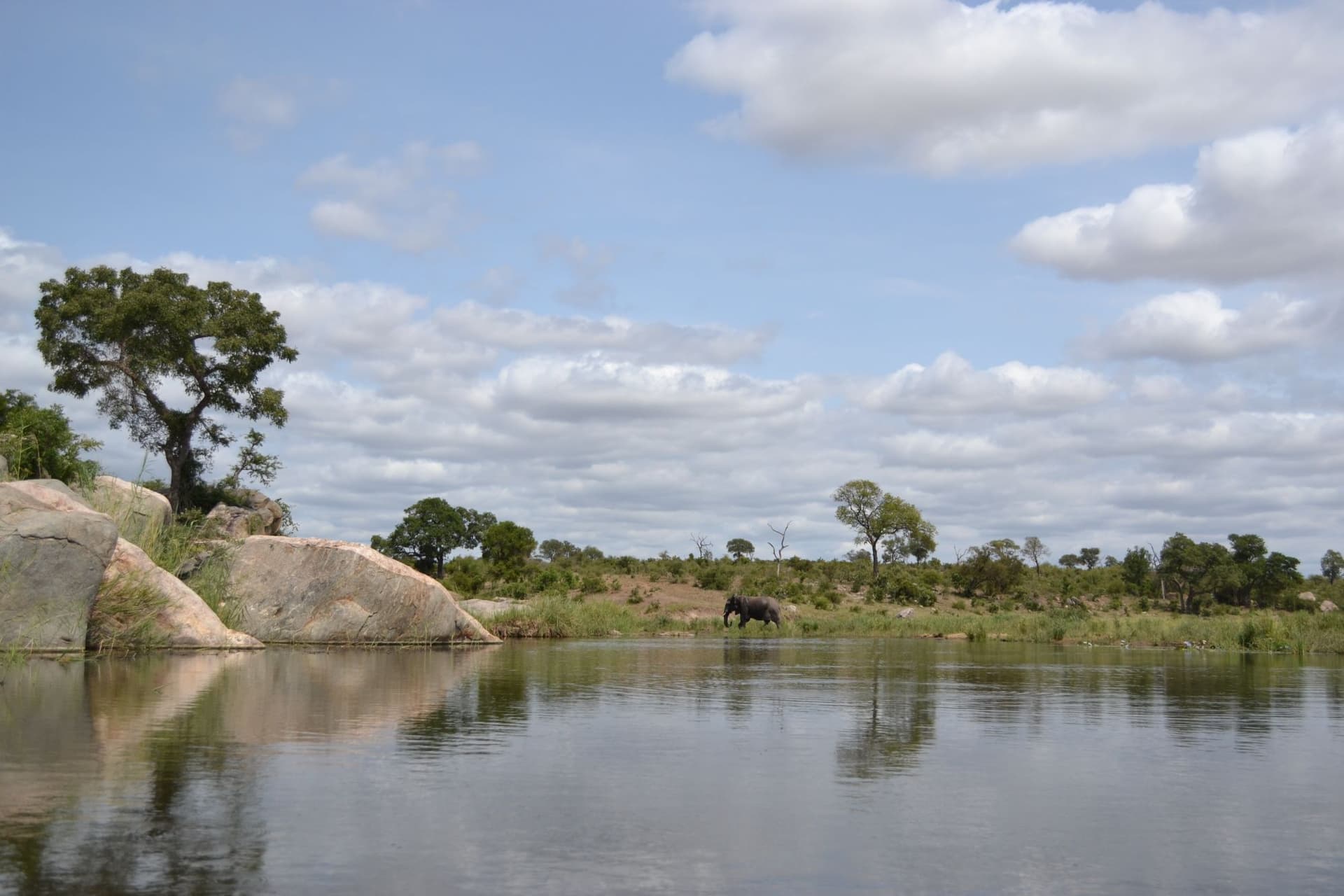 4-Day Incredible Safari Inside the Kruger National Park - Gallery 4