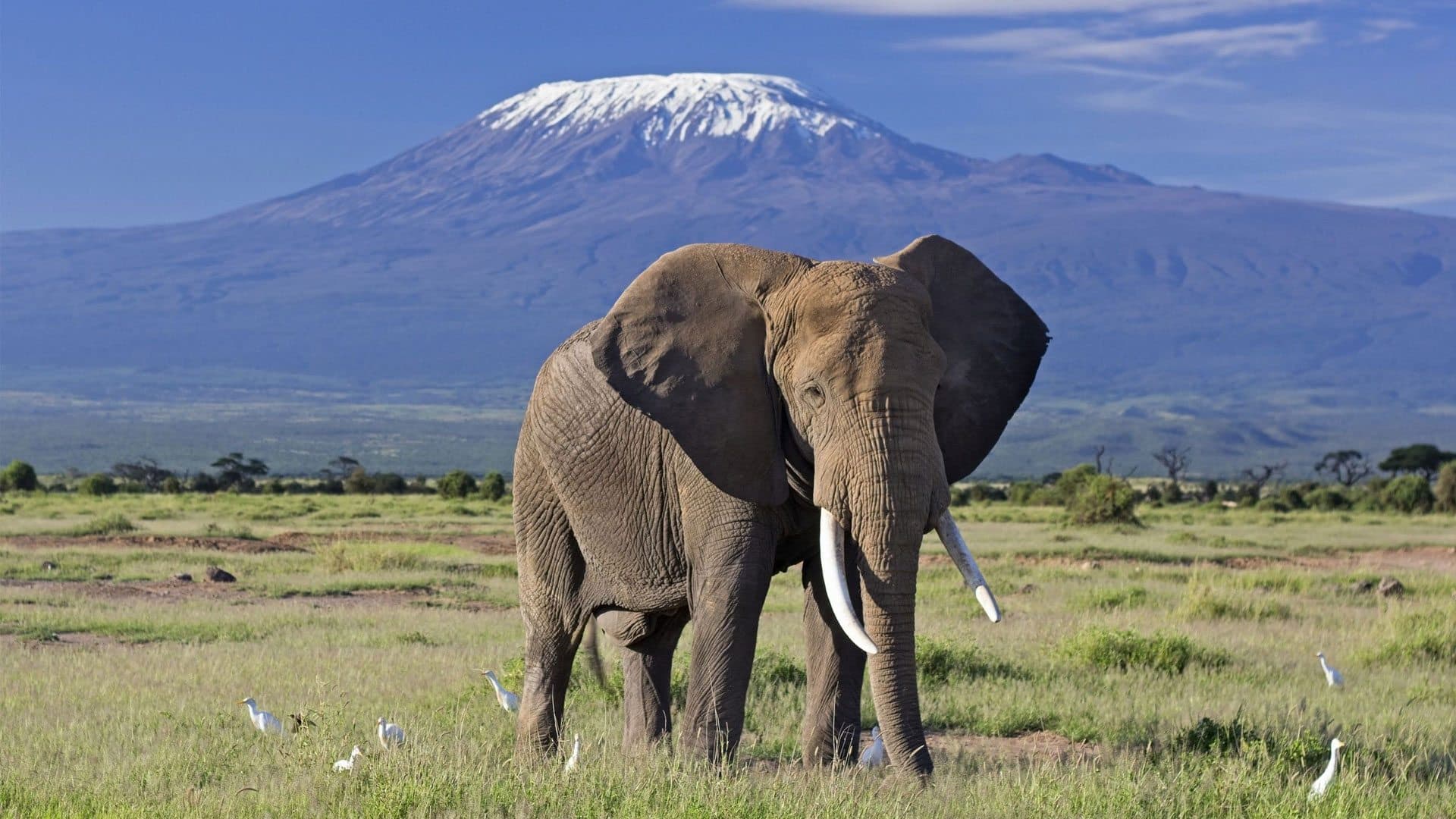 5-Day Budget Group Joining Fun Safari
