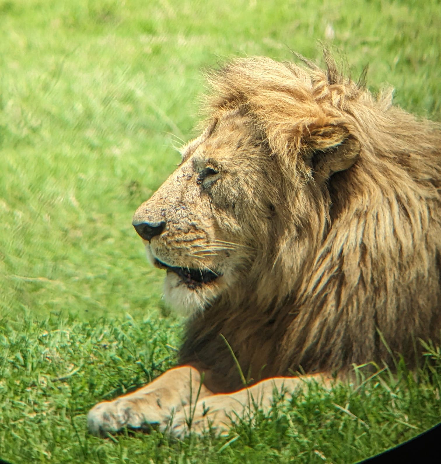 3-Day Amboseli by Train - Main