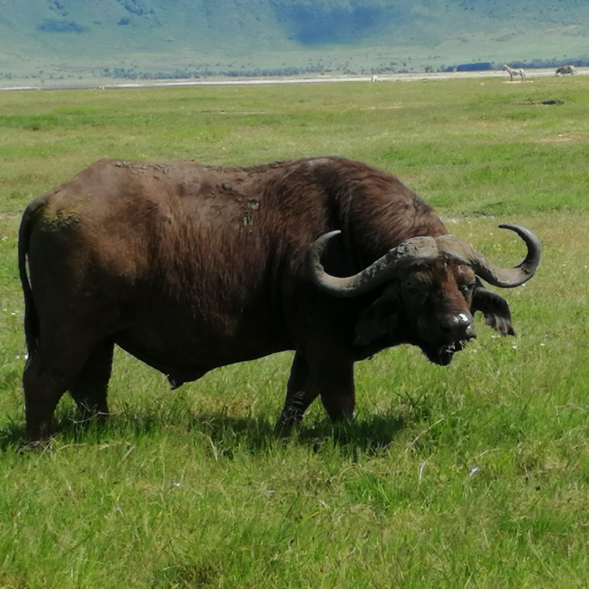 3-Day Masai Mara - Main