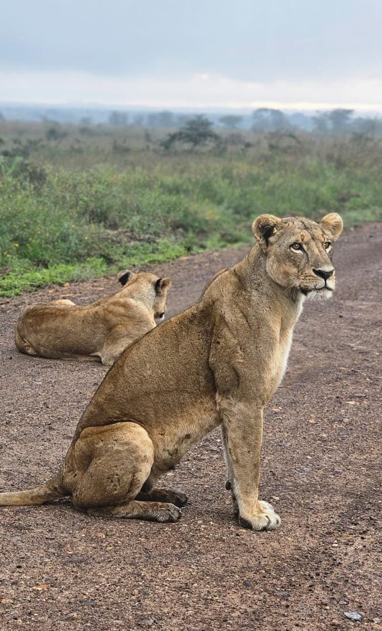9-Day Best of Kenya Adventure Safari - Gallery 2