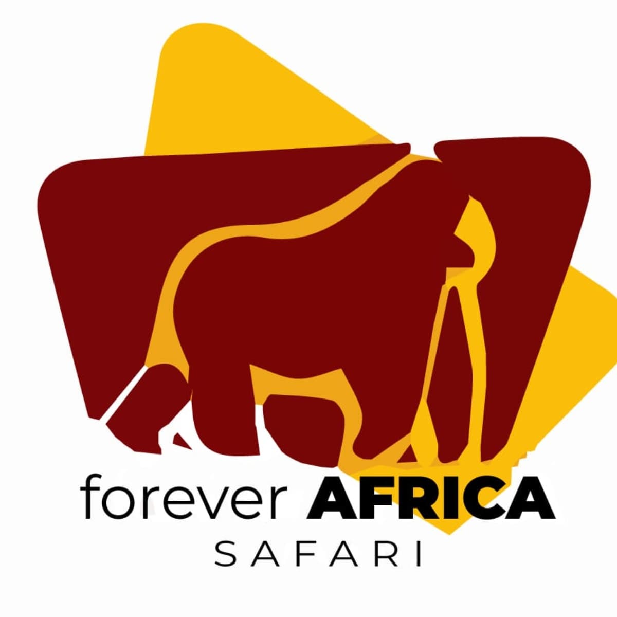 Forever Africa Safari