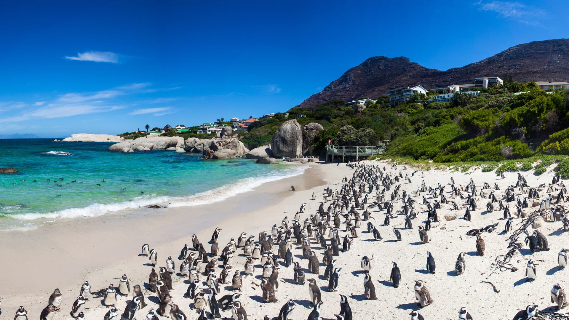 13-Day South Africa & Seychelles Honeymoon Tour