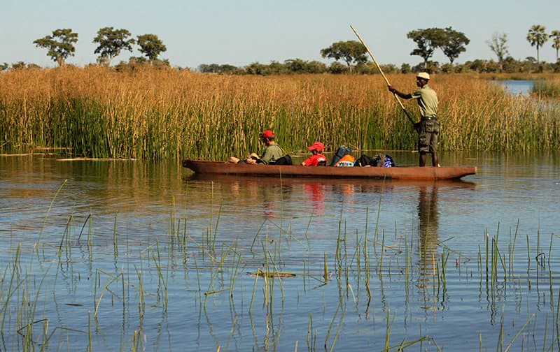 8-Day Victoria Falls, Chobe & Okavango Delta Safari - Gallery 2