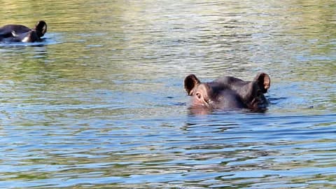 8-Day Victoria Falls, Chobe & Okavango Delta Safari - Gallery 1