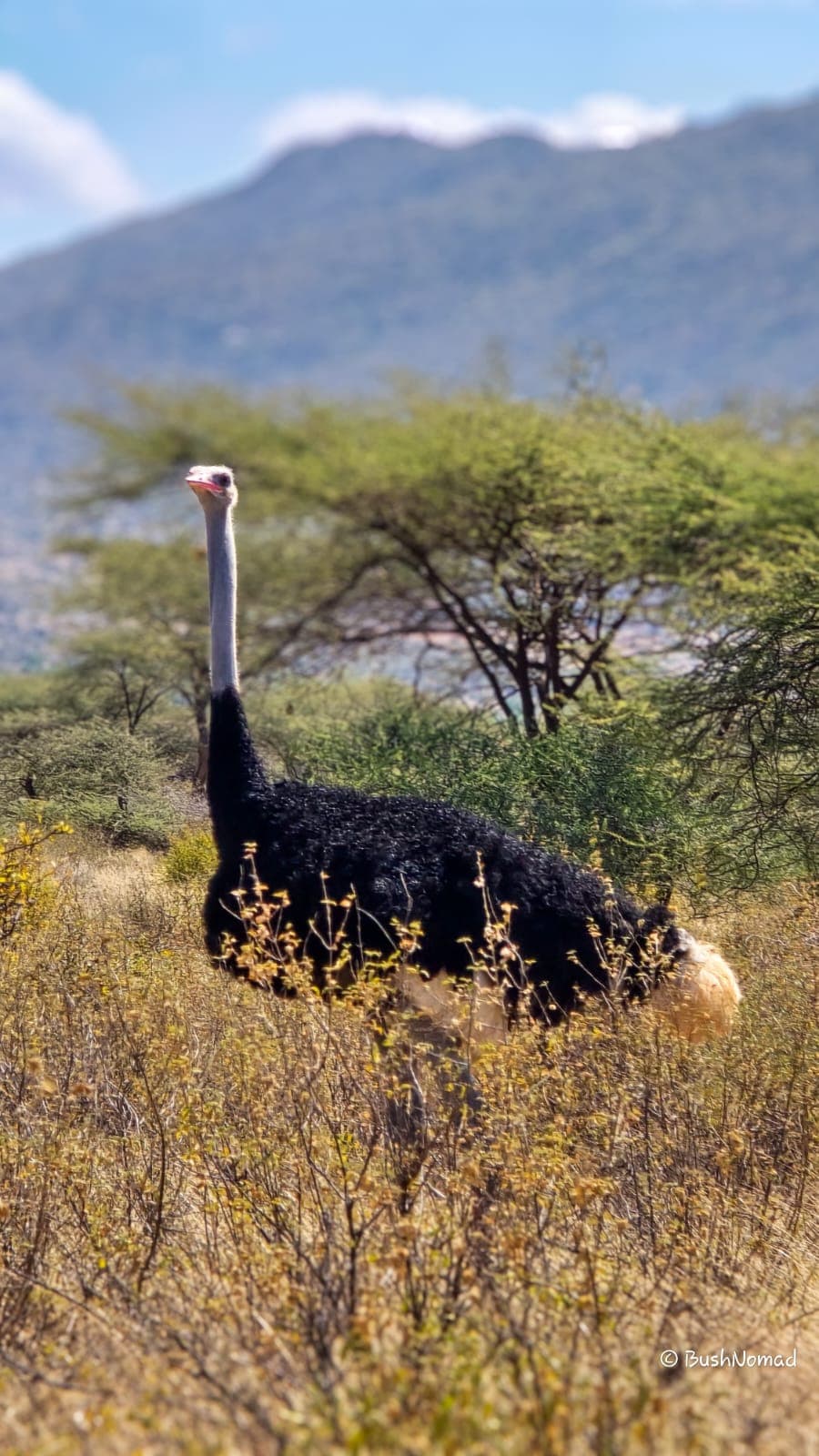 9-Day Best of Kenya Adventure Safari - Gallery 1