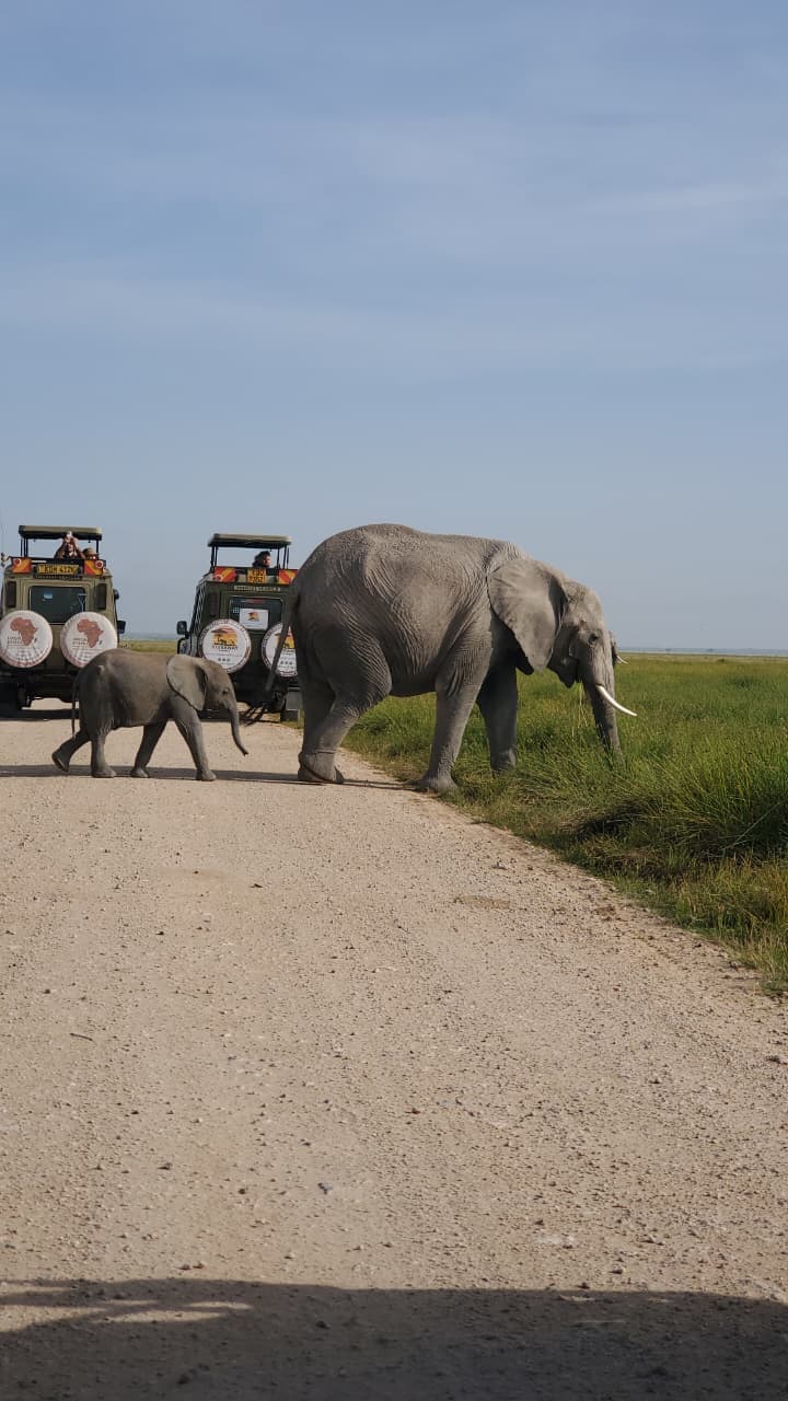 7-Day Classic Kenya Circuit Safari - Gallery 3