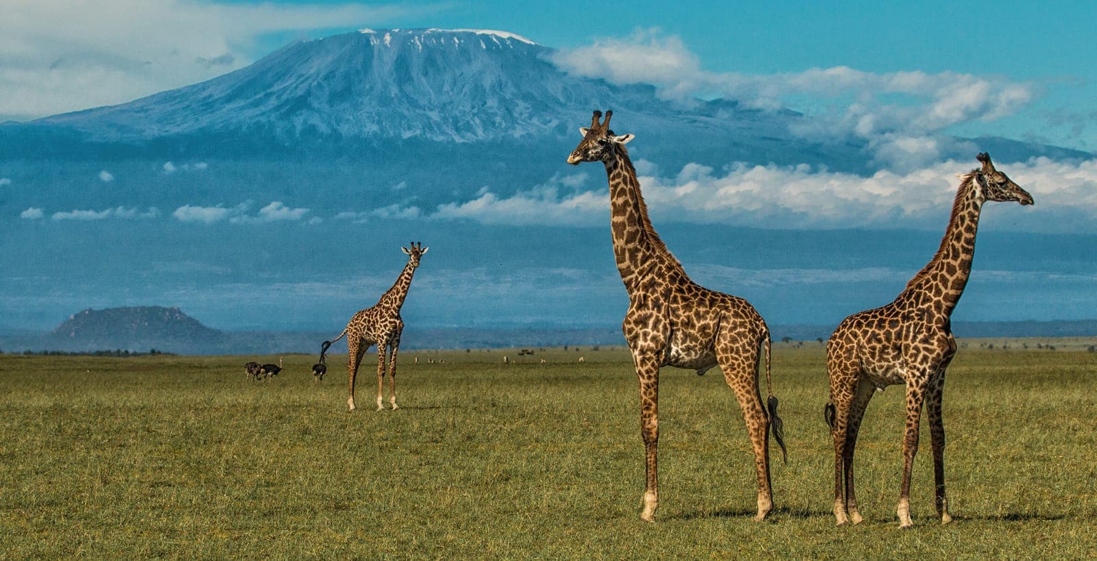 9-Day Best of Kenya Adventure Safari