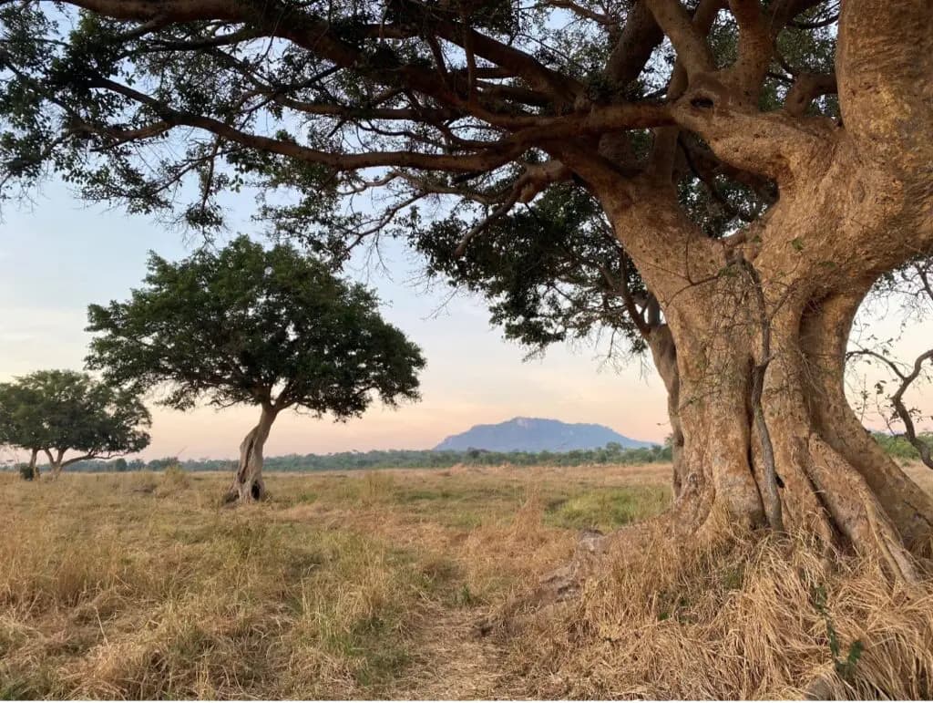Usangu Plains
