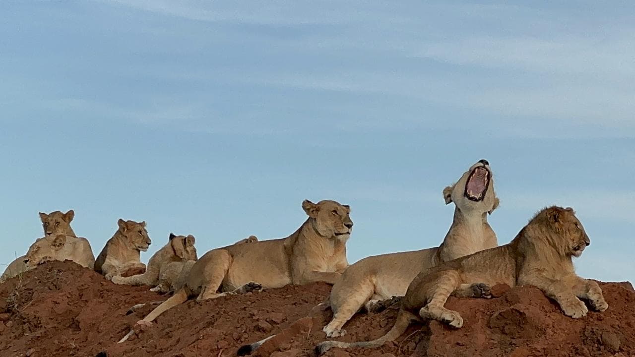 3-Day Flying Masai Mara Package - Gallery 3