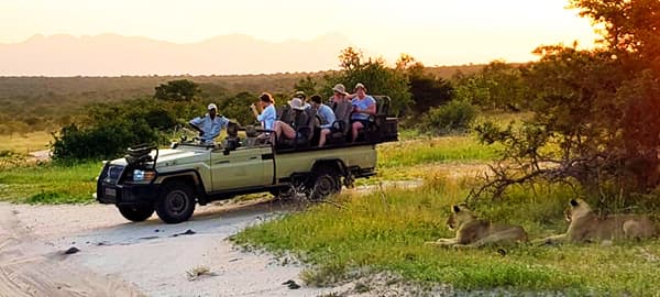 4-Day Kruger Park Private Game Lodge Safari Experience - Gallery 1