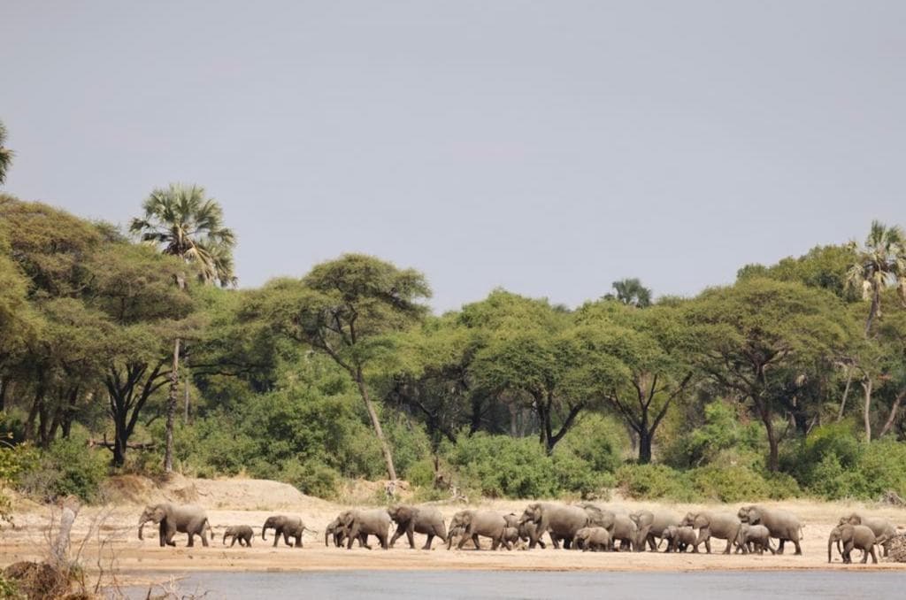 3-Day Explore Masai Mara safari - Gallery 1