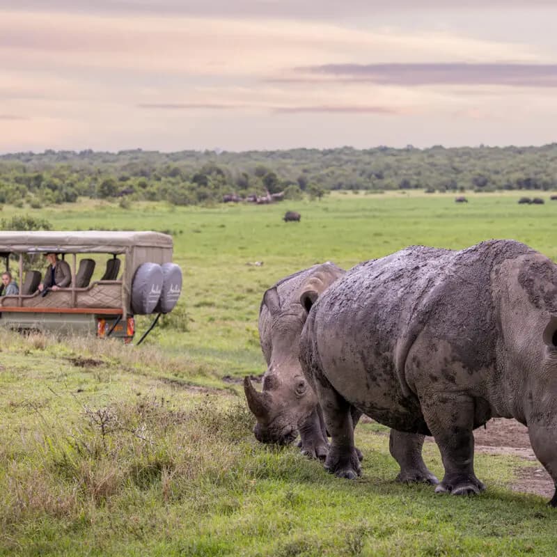 3-Day Ol pejeta Conservancy - Gallery 2
