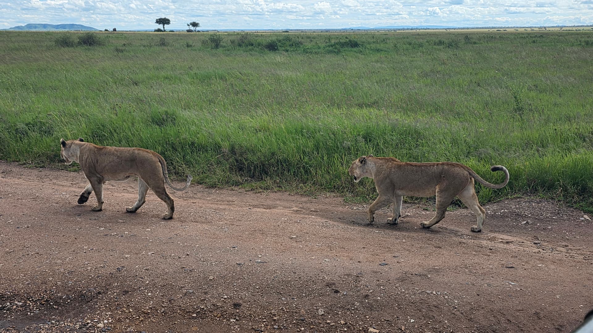 10-Day 10-Day 10-Day Northern Tanzania Adventure Safari & Cultural Experience JULY TO OCTOBER