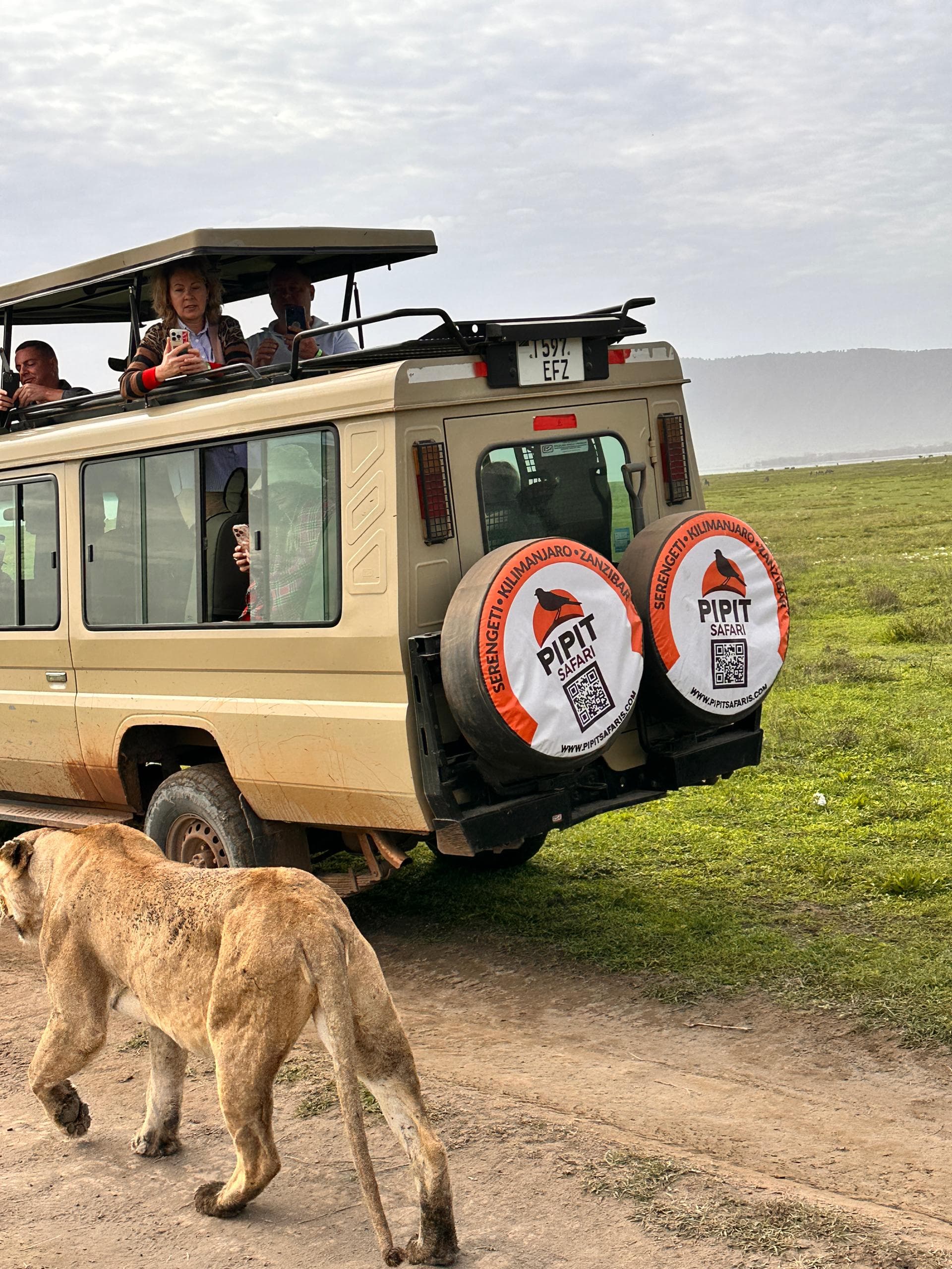 3-Day Discover Serengeti and ngorongoro Crater