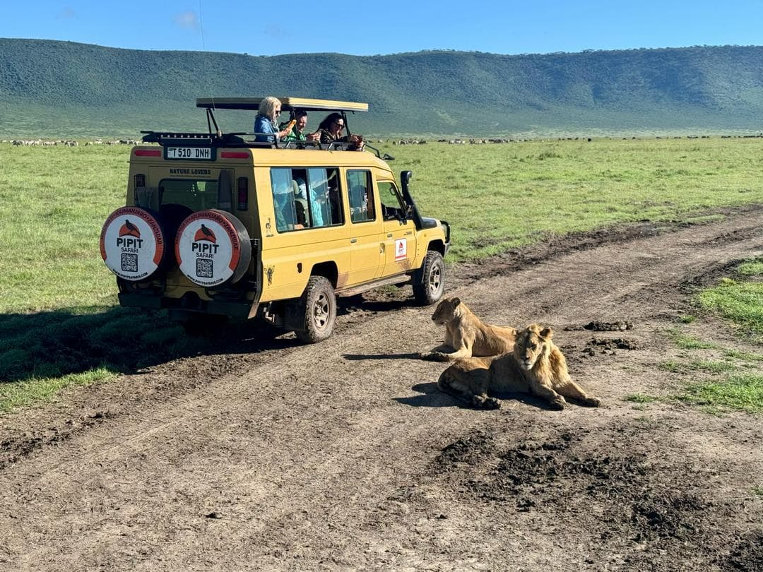 6-Day Fly in Drive Out Luxury Safari