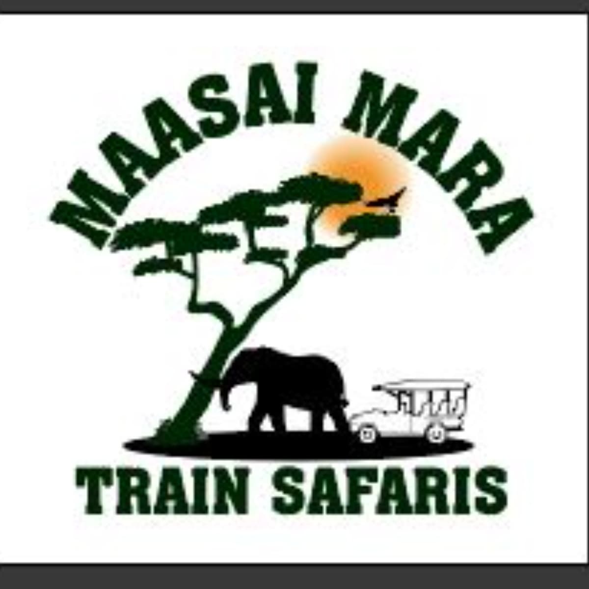 Maasai Mara Train Safaris