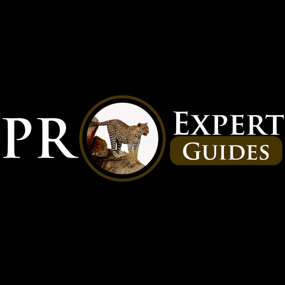 Pro Expert Guides