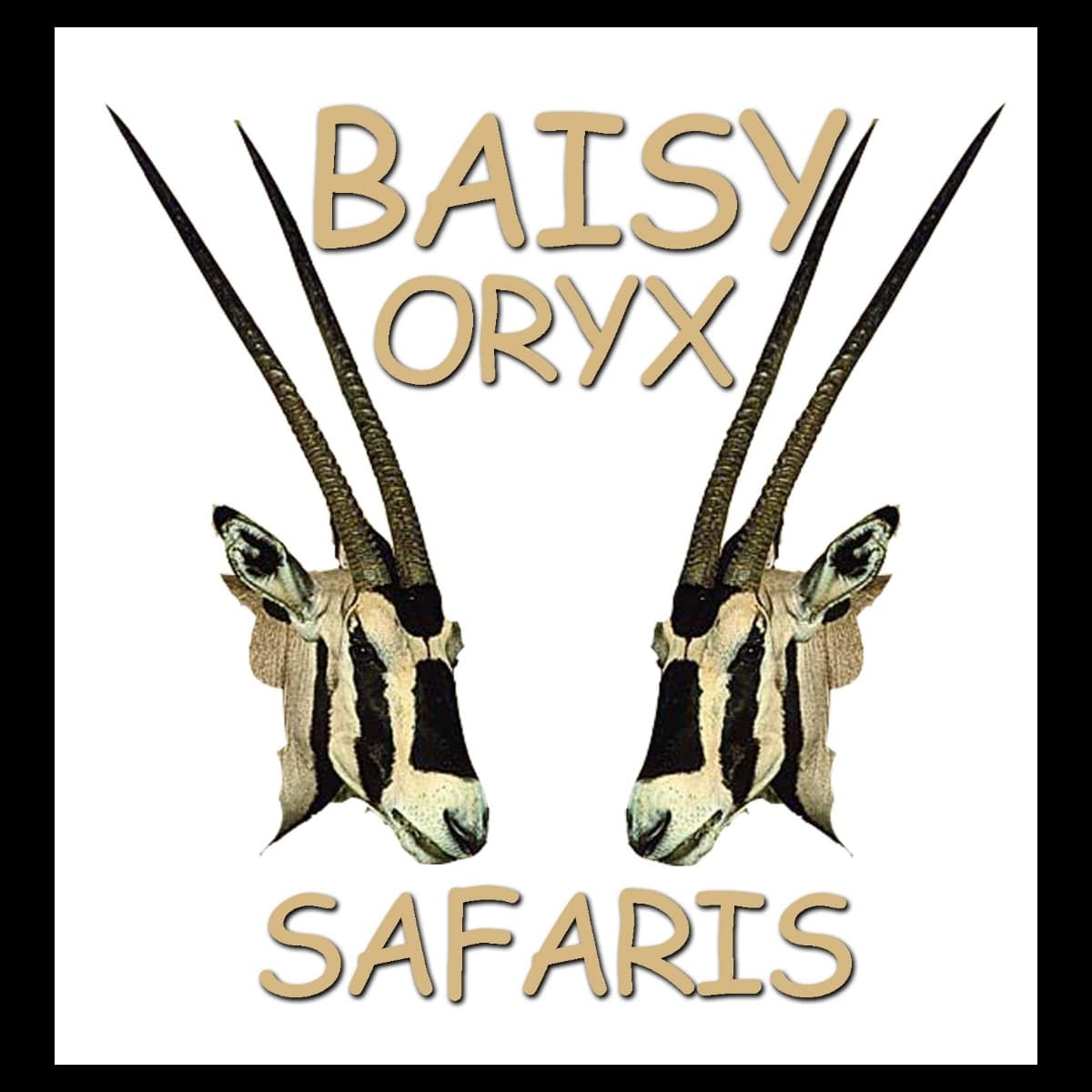 Baisy Oryx Safaris Ltd