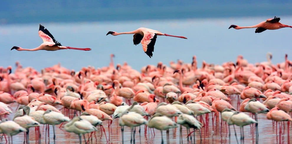 4-Day Golden Trail Safaris