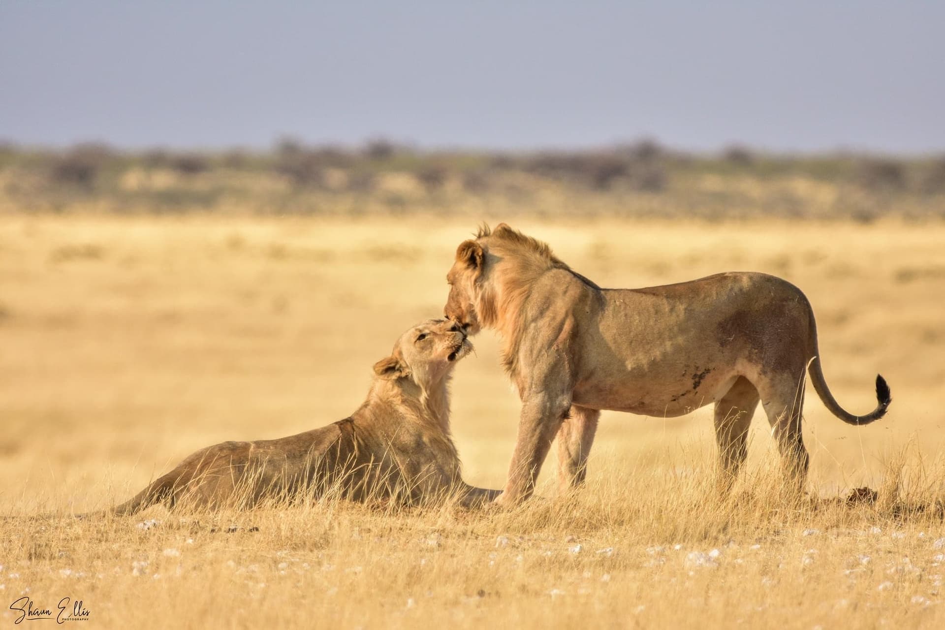 2-Day Tarangire and ngorongoro safari